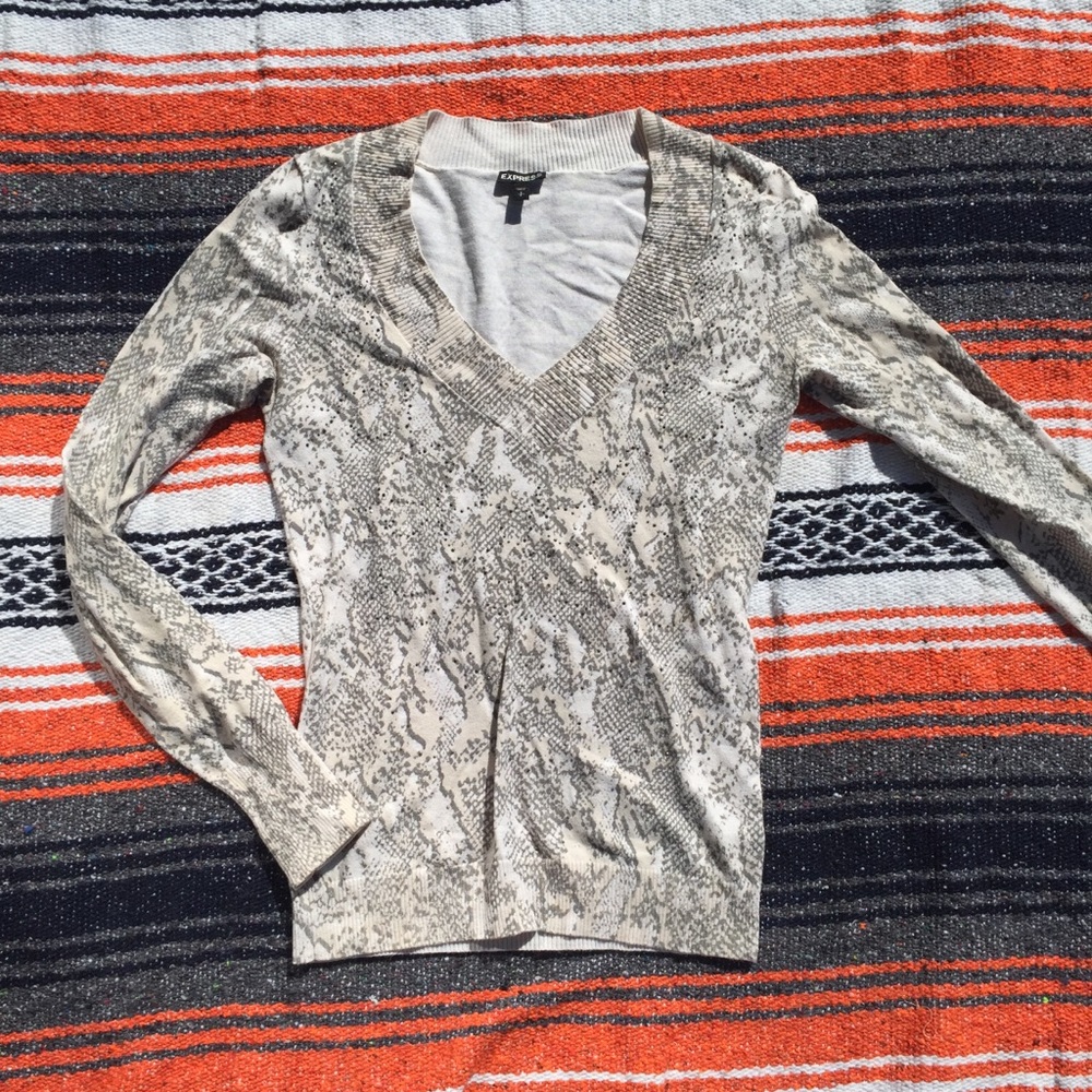 Express Size Small Lightweight Sweater